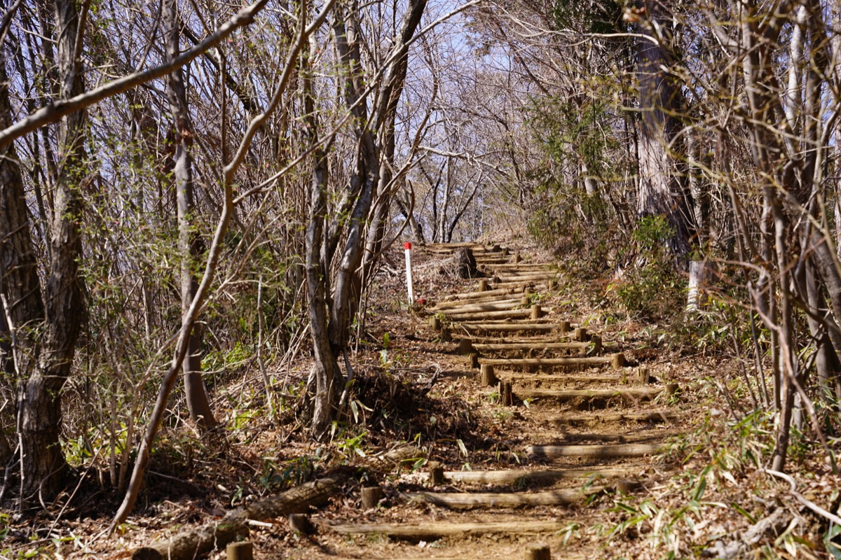 f:id:kate5656:20200321115101j:plain f:id:kate5656:20200321115101j:plain