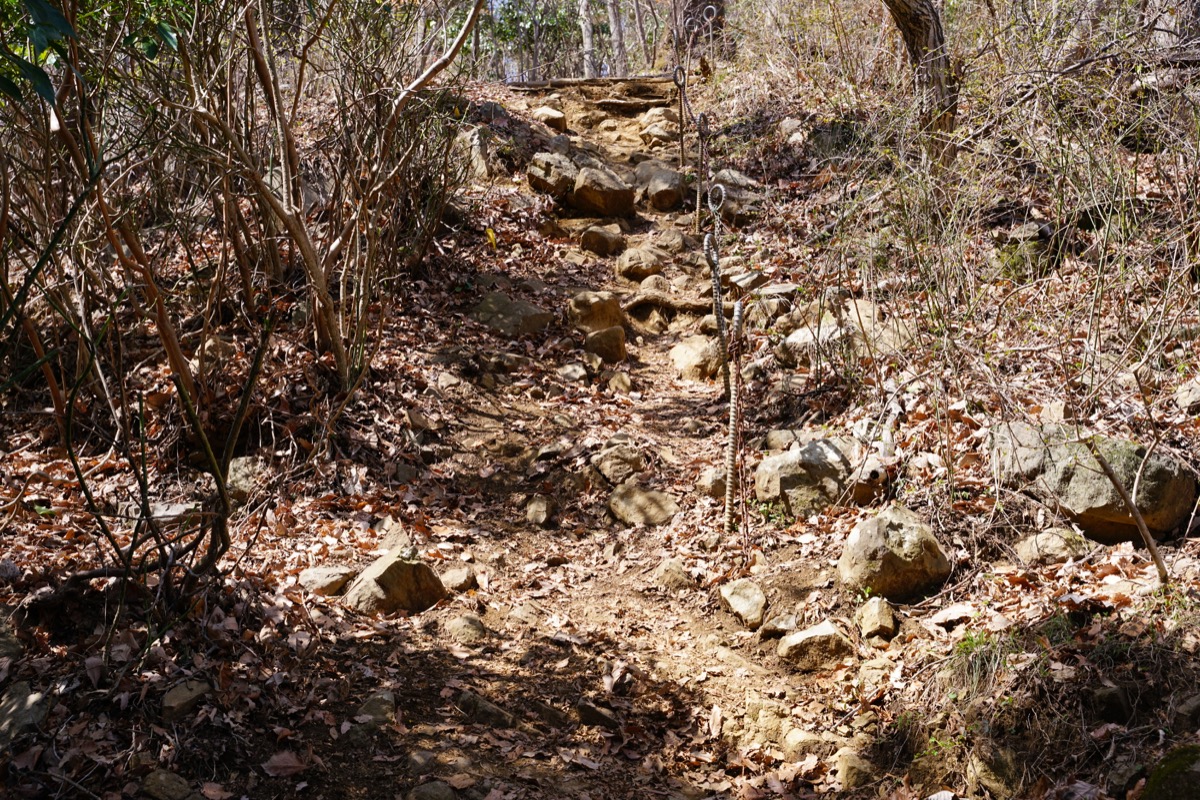 f:id:kate5656:20200321121131j:plain f:id:kate5656:20200321121131j:plain