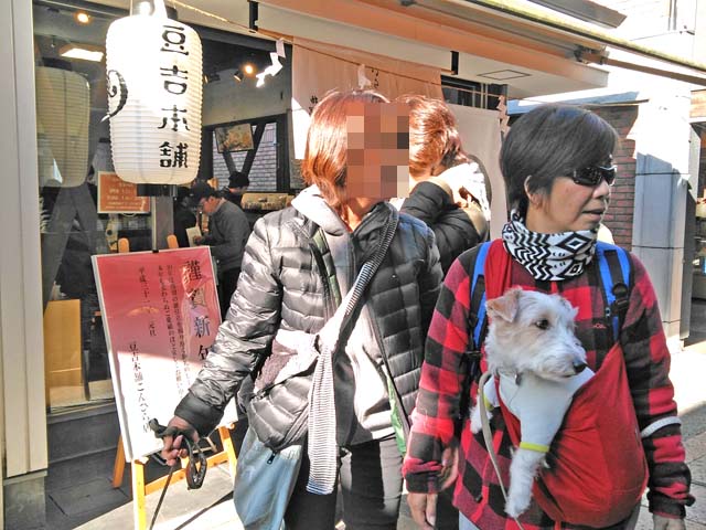 f:id:katekobe:20190111081006j:plain