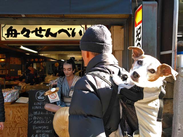 f:id:katekobe:20190111082632j:plain