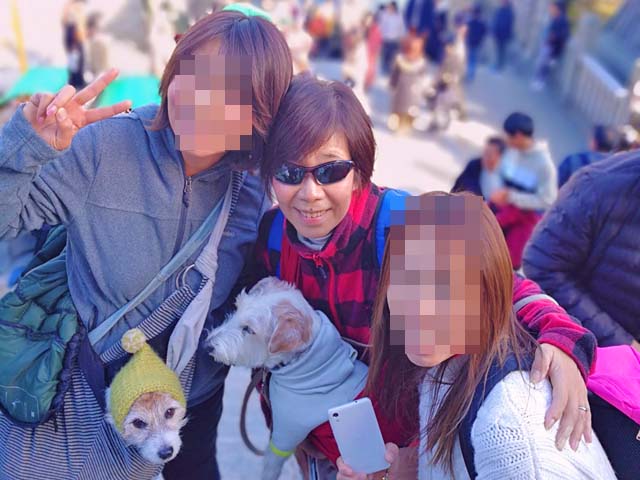 f:id:katekobe:20190111083237j:plain
