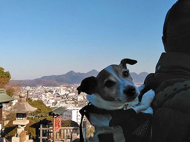 f:id:katekobe:20190111083331j:plain