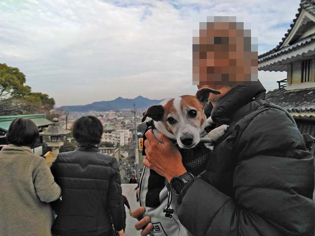 f:id:katekobe:20190111083519j:plain