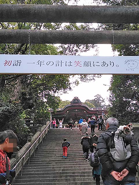 f:id:katekobe:20190111084931j:plain
