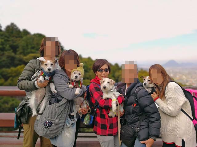 f:id:katekobe:20190111085117j:plain