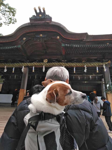 f:id:katekobe:20190111085210j:plain