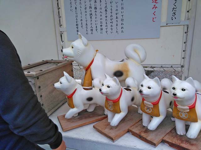 f:id:katekobe:20190111085346j:plain
