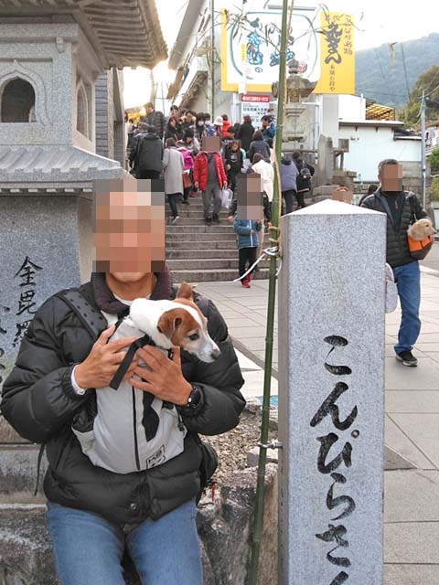 f:id:katekobe:20190111090906j:plain