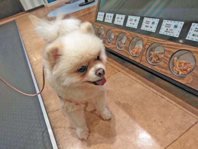 f:id:katekobe:20190114063147j:plain f:id:katekobe:20190114063147j:plain