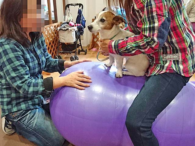 f:id:katekobe:20190116064648j:plain f:id:katekobe:20190116064648j:plain