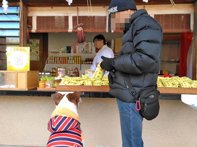 f:id:katekobe:20190130060128j:plain