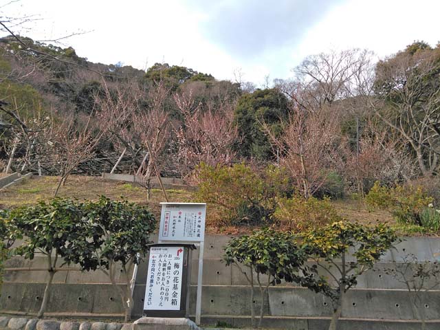 f:id:katekobe:20190217073121j:plain