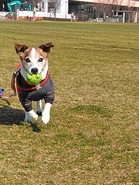 f:id:katekobe:20190313062048j:plain