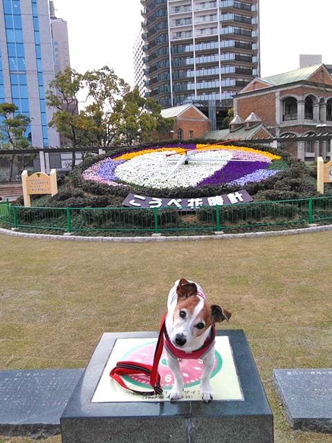 f:id:katekobe:20190330063422j:plain