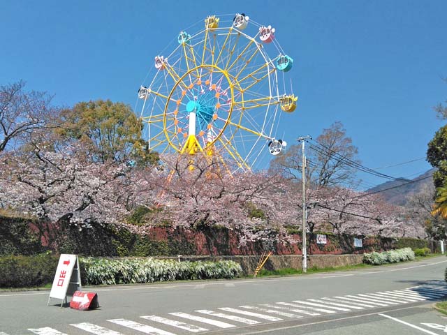 f:id:katekobe:20190405063739j:plain