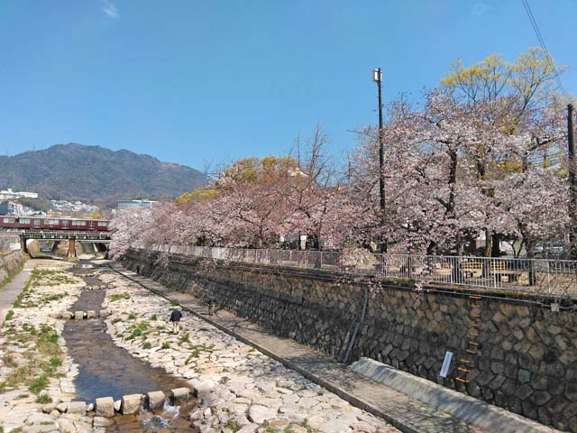 f:id:katekobe:20190405063840j:plain