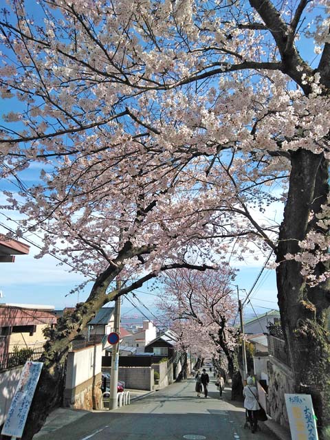 f:id:katekobe:20190406071244j:plain