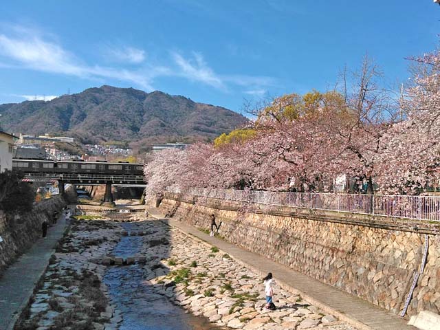 f:id:katekobe:20190406072529j:plain