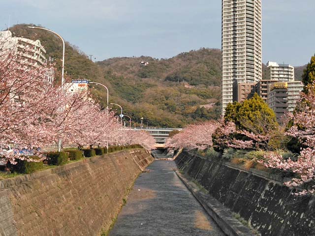 f:id:katekobe:20190409082233j:plain