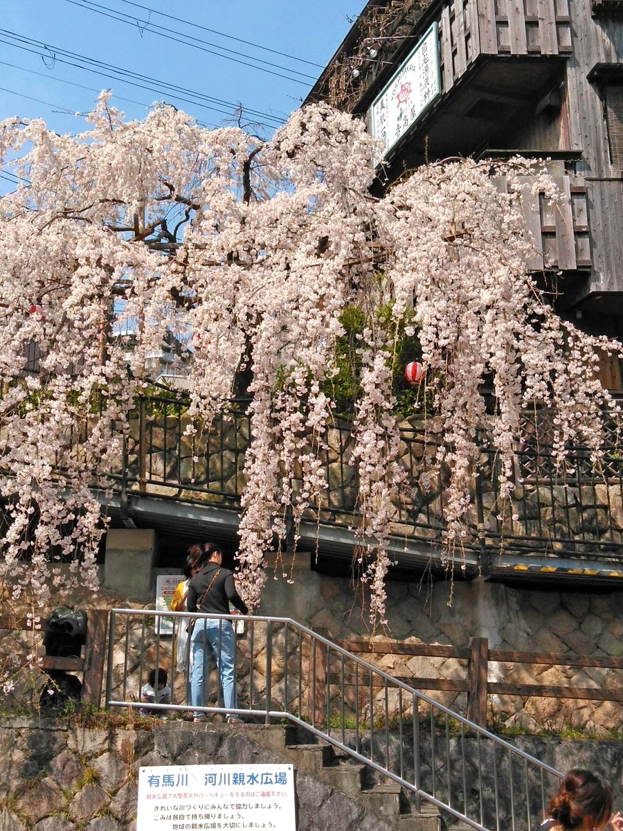 f:id:katekobe:20190411055524j:plain