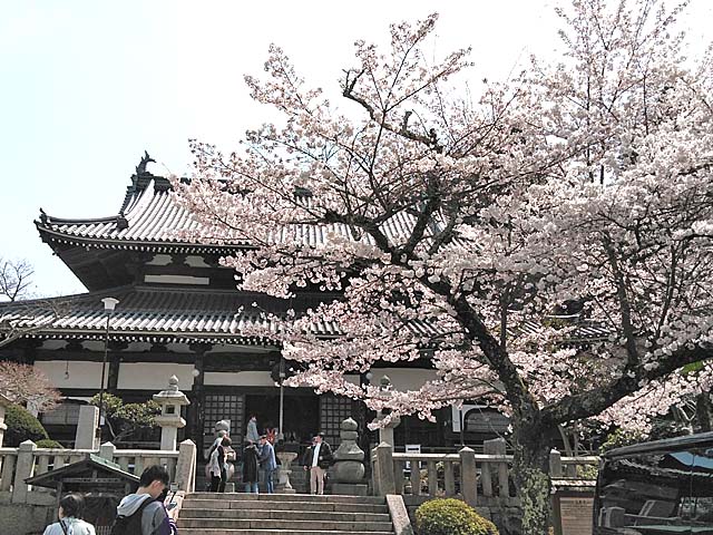f:id:katekobe:20190411070443j:plain