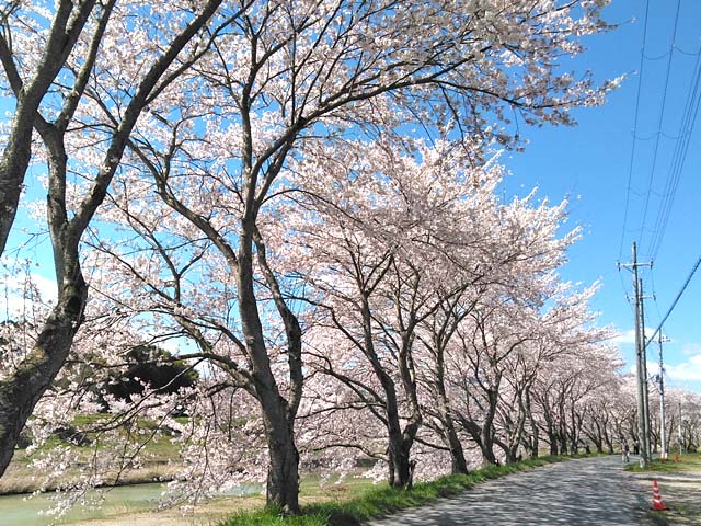 f:id:katekobe:20190415070439j:plain