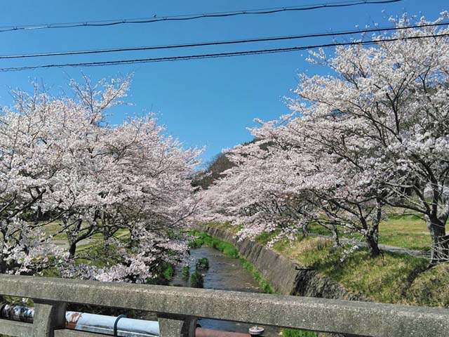 f:id:katekobe:20190415080110j:plain