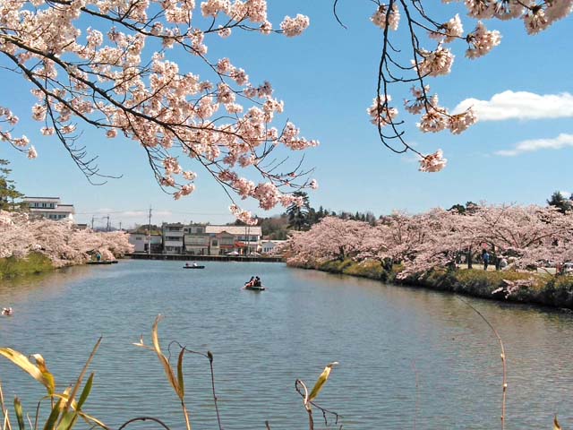 f:id:katekobe:20190415081012j:plain