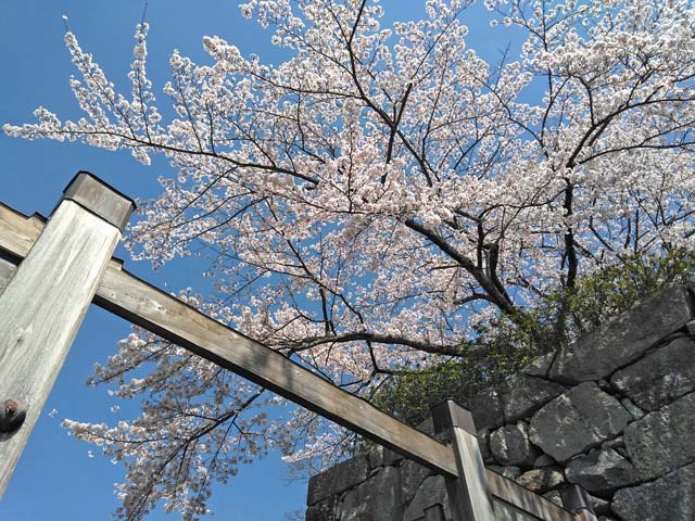 f:id:katekobe:20190415081908j:plain