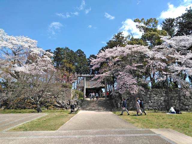 f:id:katekobe:20190415081943j:plain