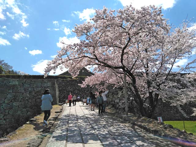 f:id:katekobe:20190415082001j:plain