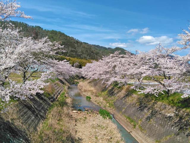 f:id:katekobe:20190415083842j:plain