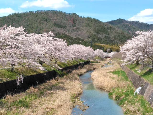 f:id:katekobe:20190415084521j:plain