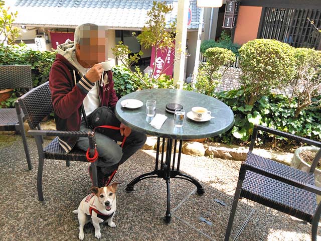 f:id:katekobe:20190417065703j:plain