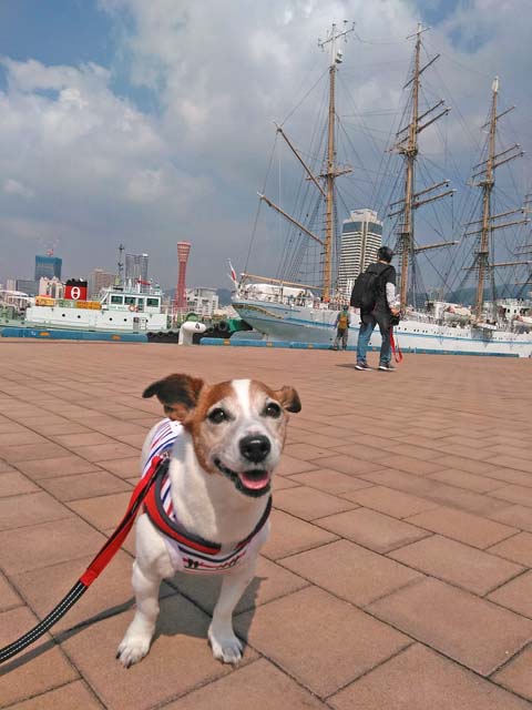f:id:katekobe:20190425070126j:plain