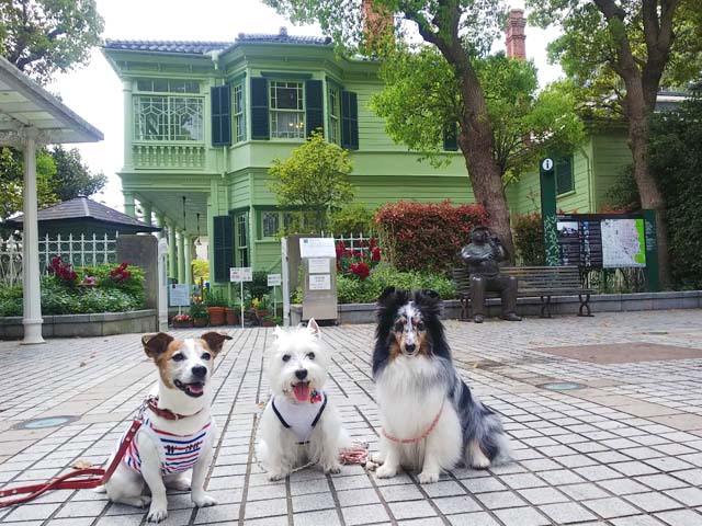 f:id:katekobe:20190426062417j:plain