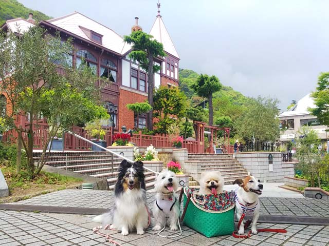 f:id:katekobe:20190426062435j:plain