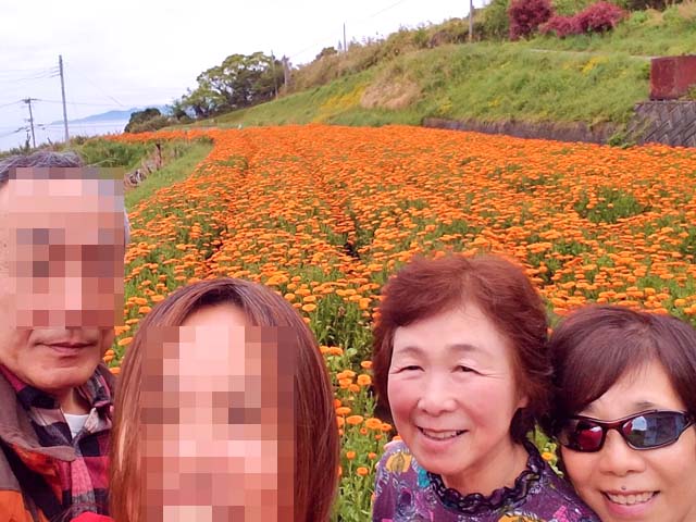 f:id:katekobe:20190504081840j:plain