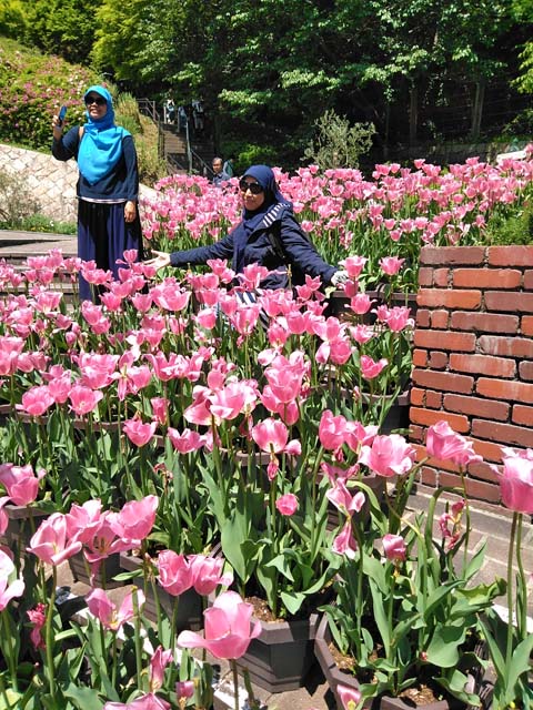 f:id:katekobe:20190507074234j:plain f:id:katekobe:20190507074234j:plain