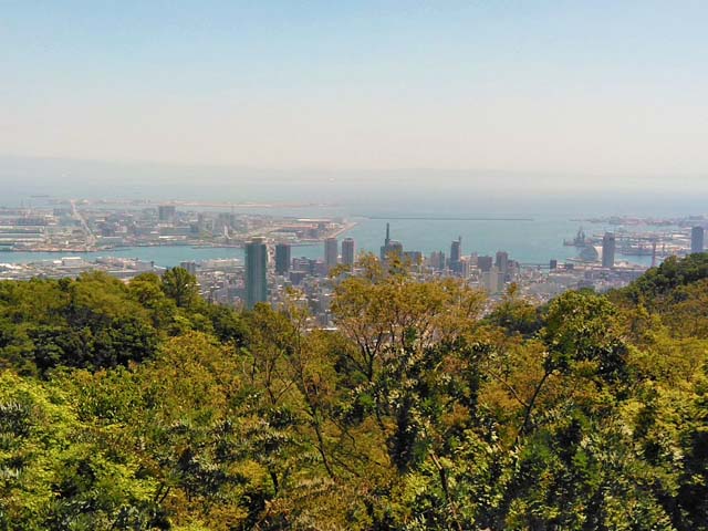 f:id:katekobe:20190507074335j:plain