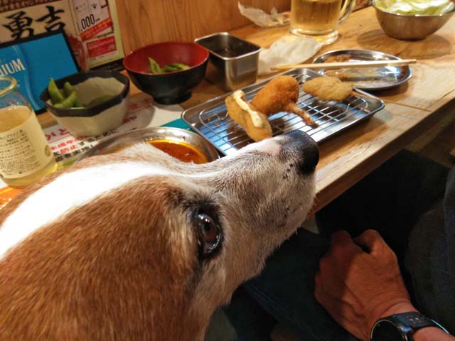 f:id:katekobe:20190508065924j:plain