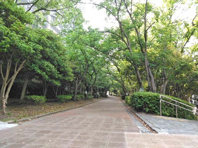 f:id:katekobe:20190603061500j:plain
