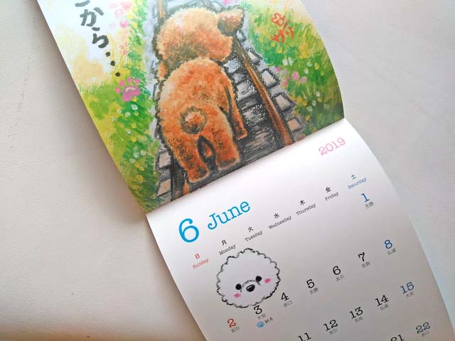 f:id:katekobe:20190617095132j:plain