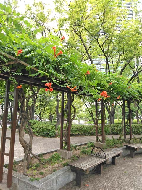 f:id:katekobe:20190707090427j:plain