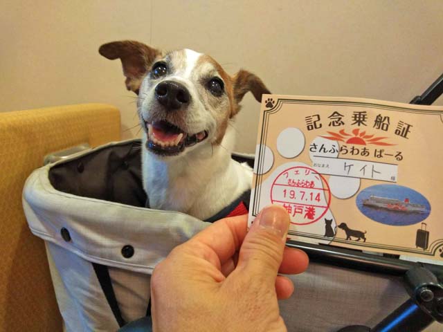 f:id:katekobe:20190718084014j:plain f:id:katekobe:20190718084014j:plain