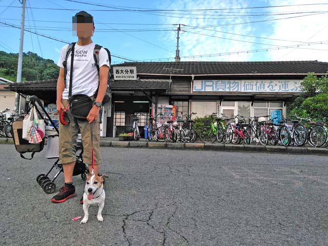 f:id:katekobe:20190718091326j:plain f:id:katekobe:20190718091326j:plain