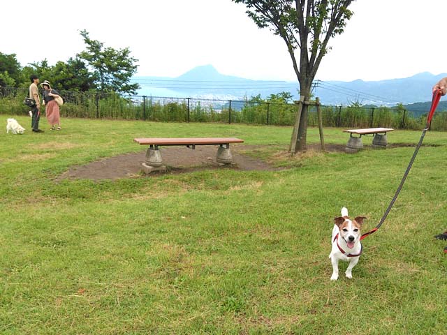 f:id:katekobe:20190726080204j:plain