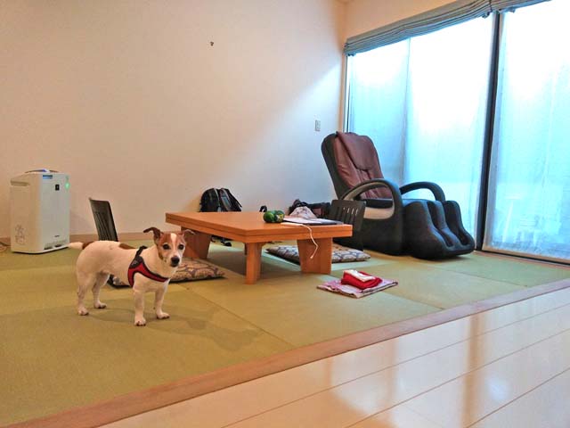 f:id:katekobe:20190727083105j:plain f:id:katekobe:20190727083105j:plain