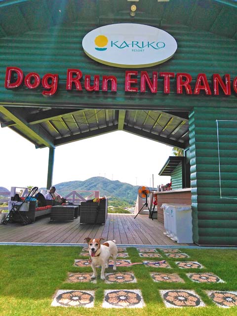 f:id:katekobe:20190812082231j:plain