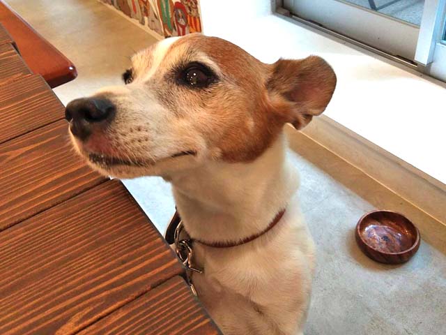 f:id:katekobe:20190903052425j:plain